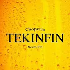 Logo tekinfin